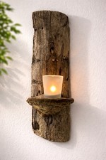  Treibholz & Baumpilz