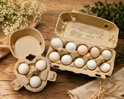 Seidenhuhn - ,