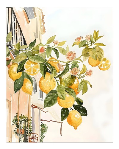 Lemon grove poster - poster,