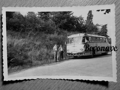 Foto ikarus bus reisebus - bus, 55