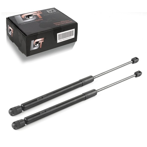 Gasfeder - 2x,