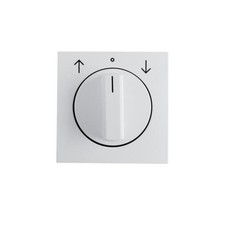 Berker Zentralstück mit