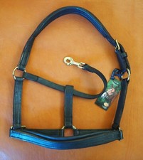 Passier Stallhalfter Leder, unterfüttert, Passier Leder Halfter Gr. 3 Warmblut  