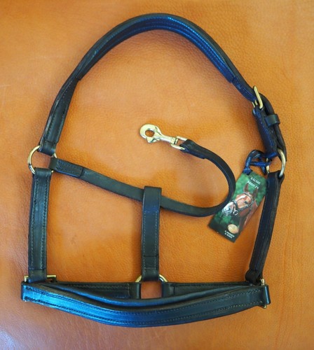 Passier stallhalfter leder - passier,