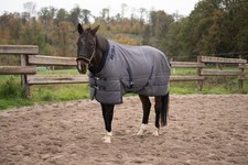 Winterdecke 145cm Chevaleria