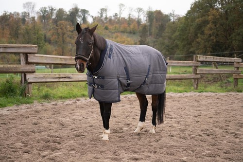 Winterdecke 145cm chevaleria - winterdecke,