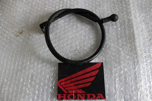 Honda revere ntv 650 33 - revere, rc