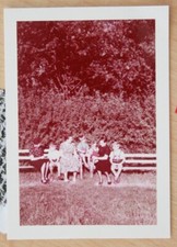 Photo color photo 1954 young
