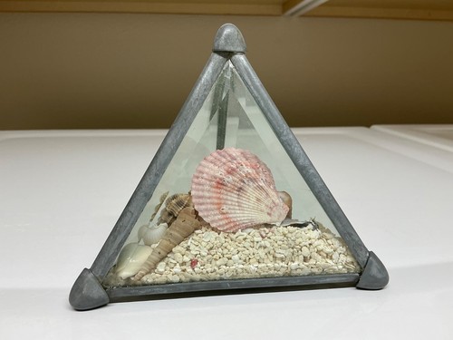 Seashell terrarium pyramid - seashell,