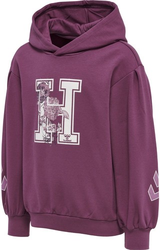 Hummel kinder hoodie - kinder,