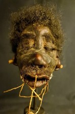Shrunken head schrumpfkopf - shrunken,