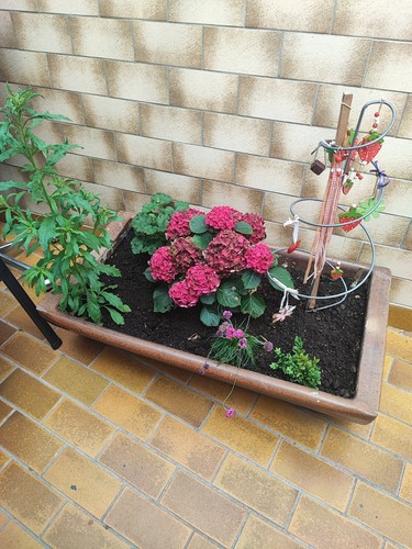 Blumenkübel groß xxl beton