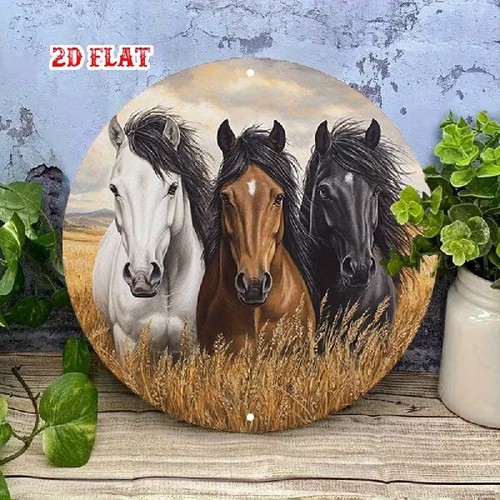 Blechschild rund pferd pferde - blechschild,