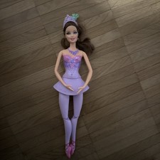 Barbie In The Pink Shoes