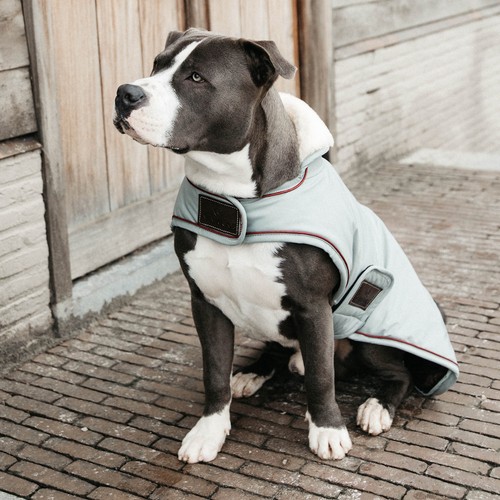 Kentucky dogwear hundemantel - dogwear,
