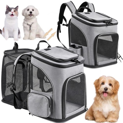 Katzenrucksack
