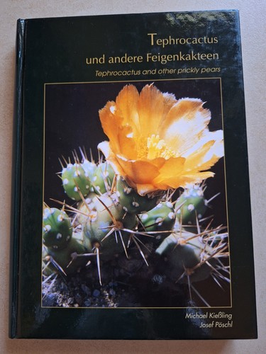 Tephrocactus und andere