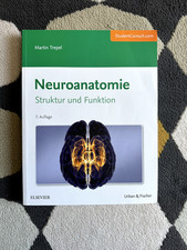 Neuroanatomie Struktur und