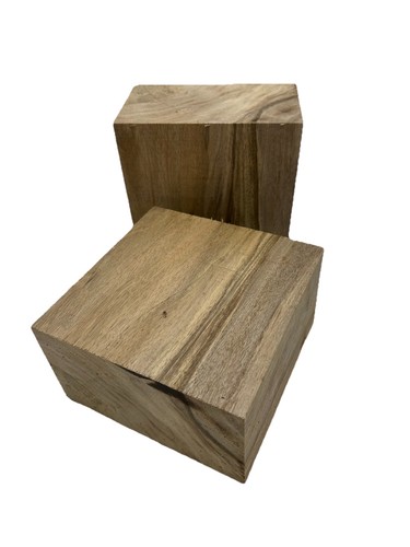 Nussbaum schalenrohling - schalenrohling, ca