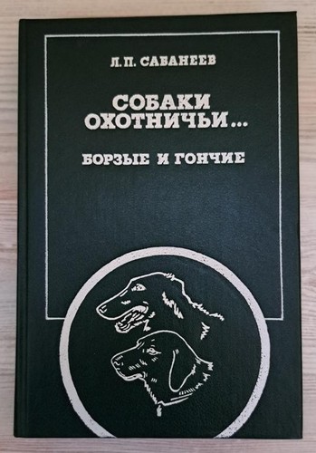 Barsoi russian wolfhound hund - russian,
