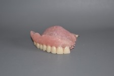 Lehrmodell Zahnprothese