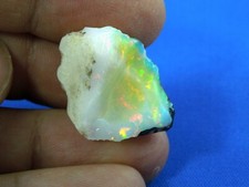 L Rohopal, multicolor