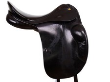 Prestige Appaloosa Dressage