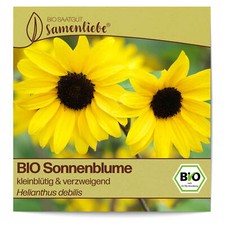 BIO Sonnenblumen Samen Sorte