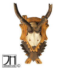 Rehgeweih Hirsch Geweih Holz