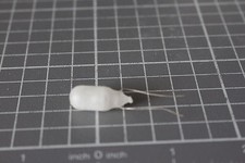 25 STK Birnchen Skalenlampe Glühlampe 12V 100 mA mit Drähten OSRAM Typ 12100