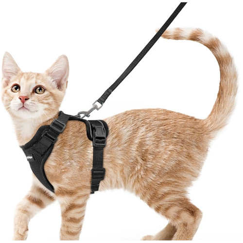 Katzengeschirr ausbruchsicher