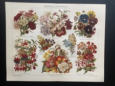 Originalgrafik Flora