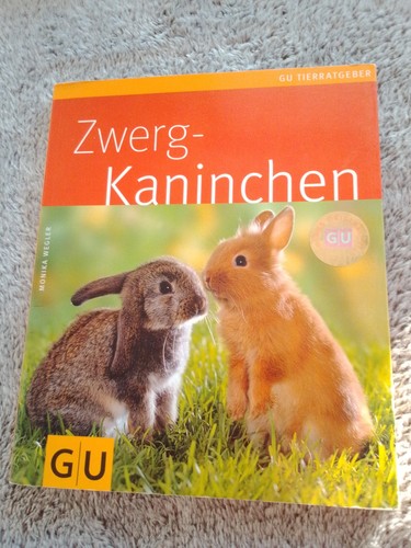Monika wegler zwerg - monika, zwerg-kaninchen