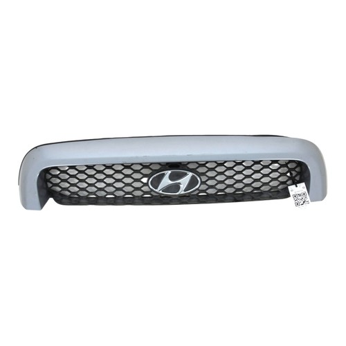 Kühlergrill hyundai santa - kühlergrill,