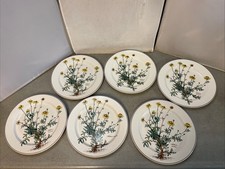 Villeroy boch botanica 6 - botanica,