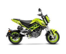 Komplette Auspuff Leovince