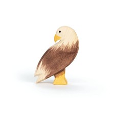 Ostheimer  Seeadler stehend