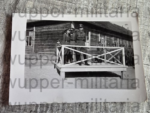 Spitzen foto verbündete - spitzen,