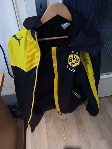 Bvb regencape größe l - bvb,