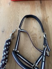 Eskadron Halfter-Set Gr. V