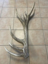 ABWURFSTANGE Rothirsch DEKO 5