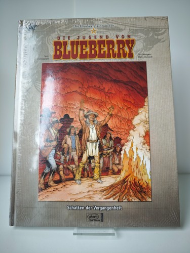 Die blueberry chroniken band - chroniken,