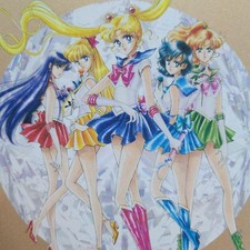 Sailor Moon Croquis Book