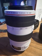 Canon EF 70-300mm f/4-5.6 L IS
