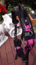 Longiergurt reithilfe mit - /,