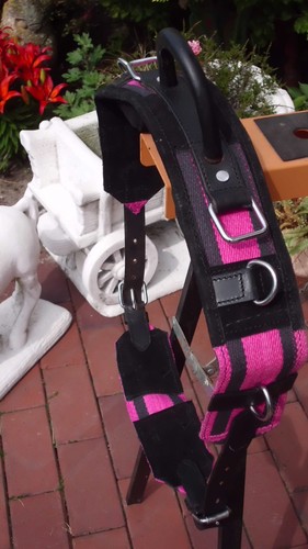 Longiergurt reithilfe mit - longiergurt,