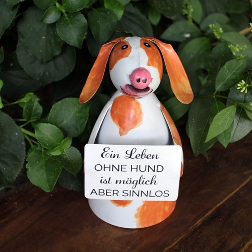Zaunhocker hund ein leben ohne - ein,