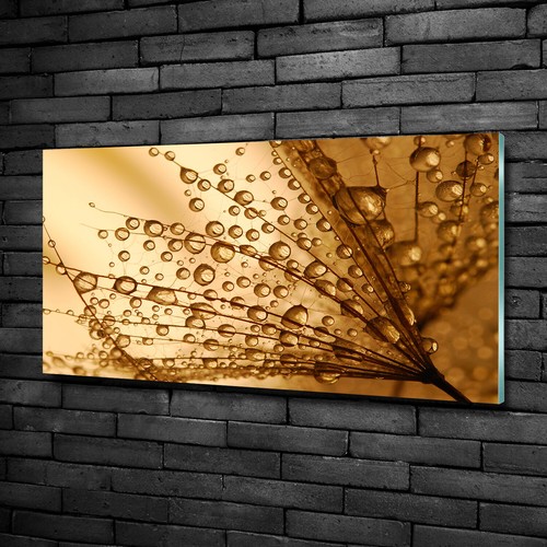 Acrylglas bild wandbilder - acrylglas-bild,