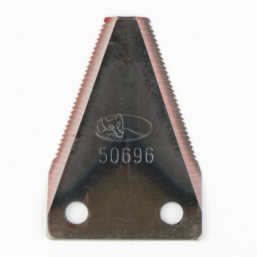 Faie klinge bcs reform - bcs,,