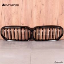 OEM BMW G30 5er LCI Ziergitter
